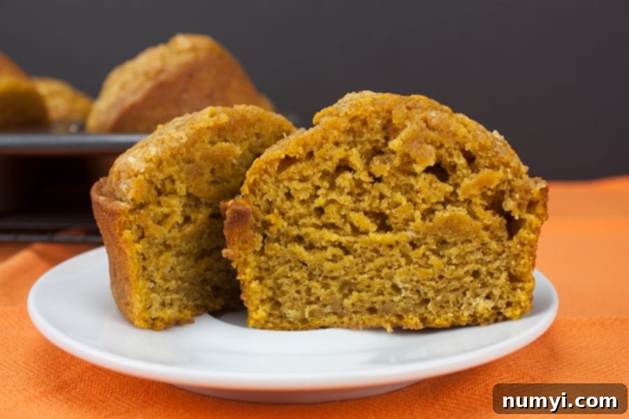 Ultimate Pumpkin Muffins 7 Bakery Style Pumpkin Muffin cut in half on a white plate.