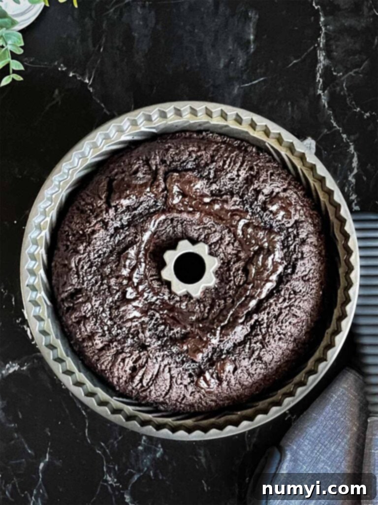 Baked chocolate bundt cake still in the pan, cooling on a dark surface.