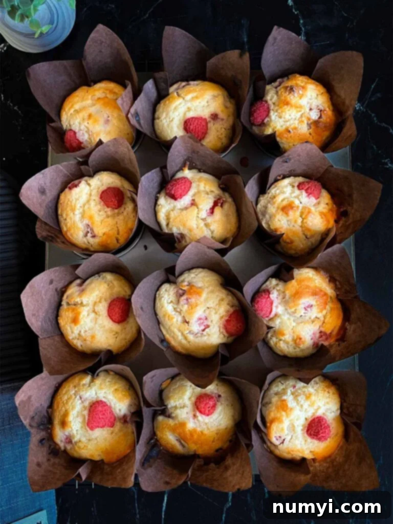 Baked raspberry muffins in the muffin pan.