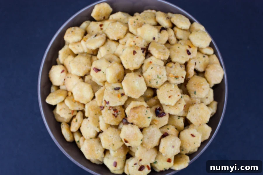 Gourmet Spiced Oyster Bites 4 Close-up of spicy seasoned oyster crackers in a black bowl, highlighting the vibrant seasoning.