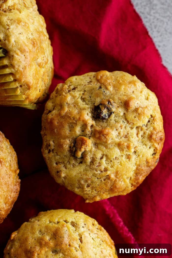 A close-up shot of a warm Raisin Bran Muffin, showcasing its soft interior, visible raisins, and golden crust.