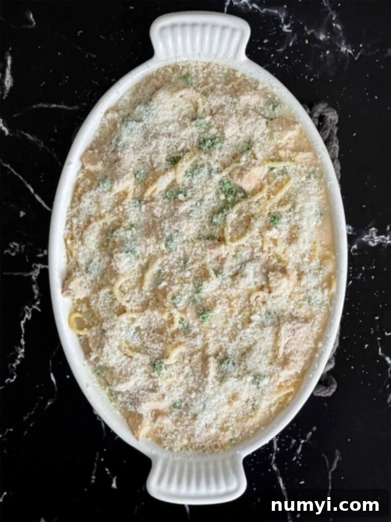 Chicken Tetrazzini covered in a layer of cheese in a white baking dish, ready for the oven.