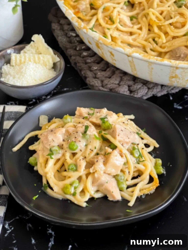 A single serving of Chicken Tetrazzini on a dark plate, garnished with fresh parsley.