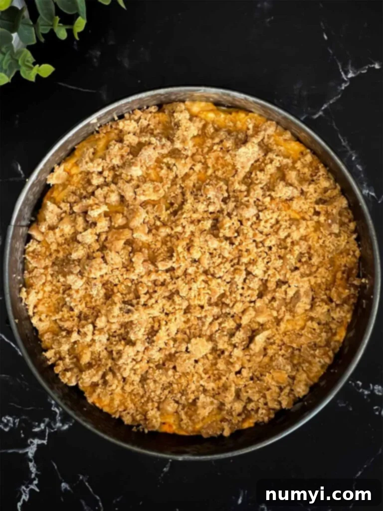 Carrot coffee cake batter with streusel topping in a prepared springform pan, ready for baking on a dark surface.