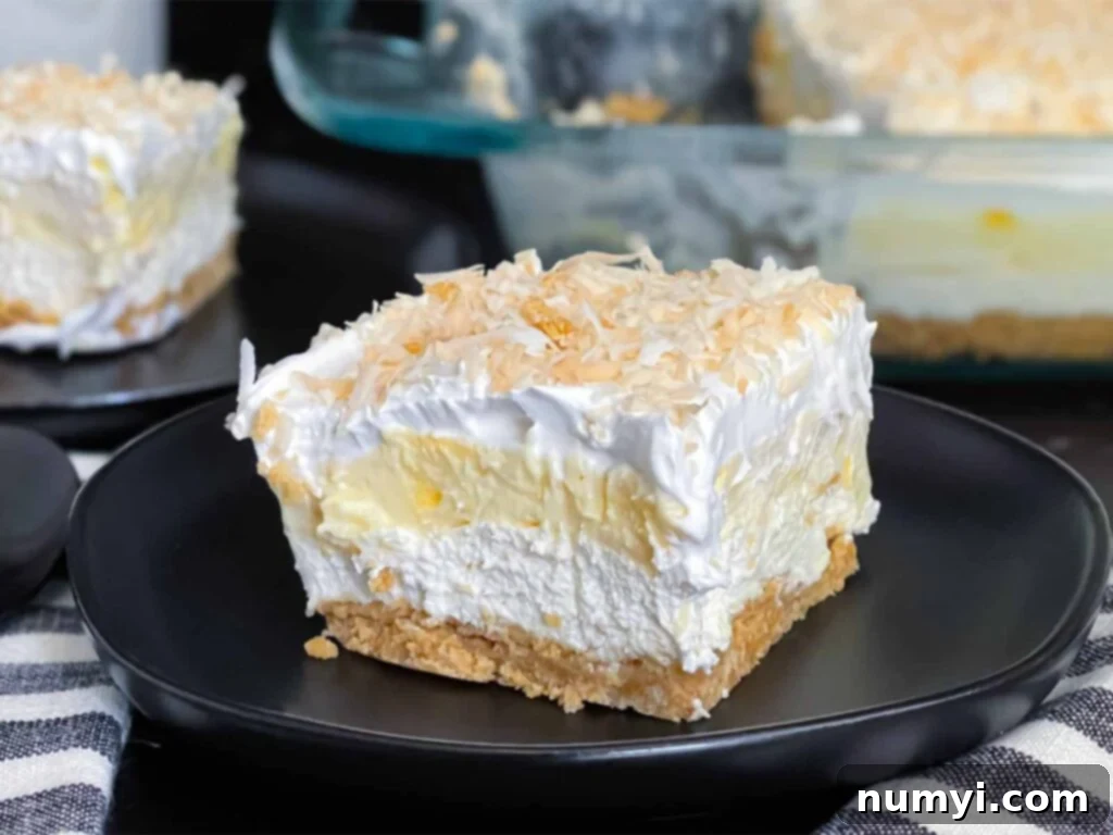 Lush Coconut Cream 2 Slice of coconut cream lush on a dark plate on a dark surface.