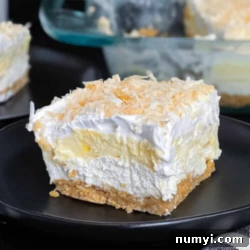 Lush Coconut Cream 12 Slice of coconut cream lush on a dark plate on a dark surface.