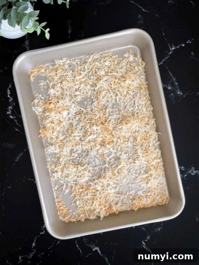 Lush Coconut Cream 5 Toasted shredded coconut in a metal baking pan on a dark surface.