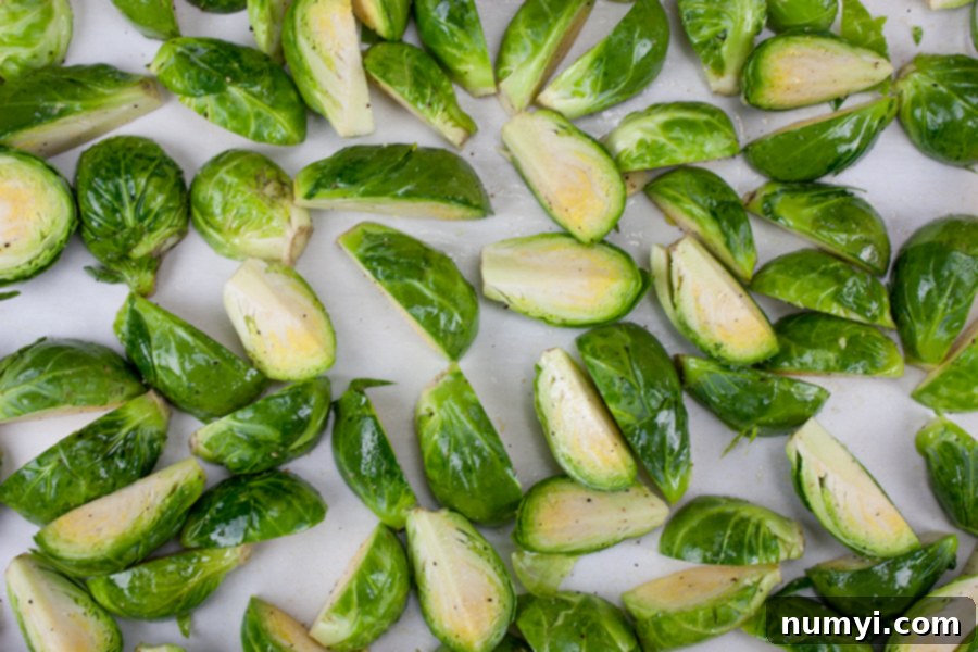 Raw brussels sprouts, trimmed and quartered, spread evenly on a parchment lined baking sheet, ready for roasting.