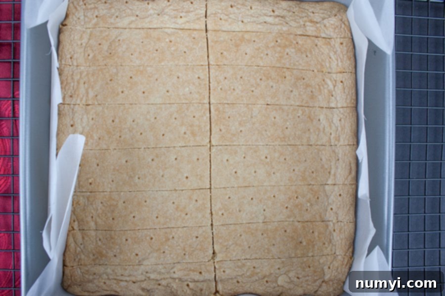 Baked classic shortbread cookies in the baking pan.
