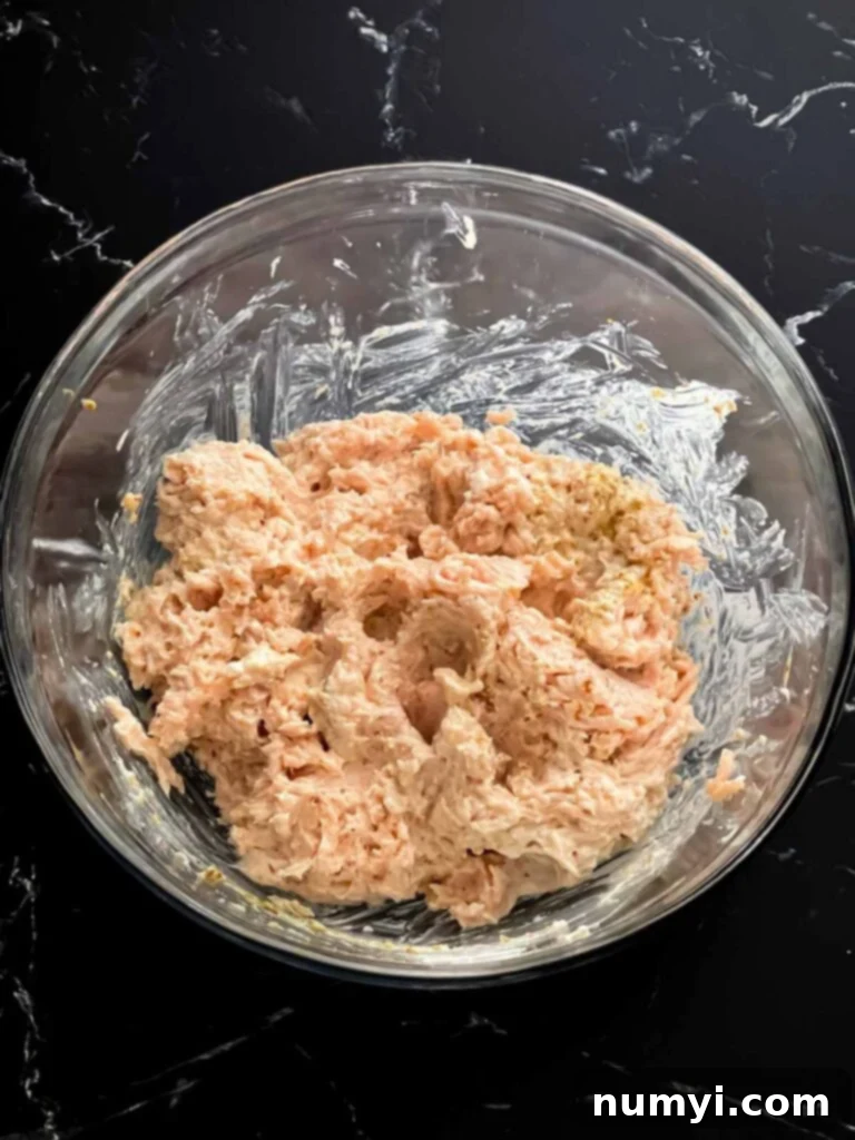 Zesty Carolina Grilled Chicken Burgers 14 Raw chicken burger mixture showing its loose consistency.