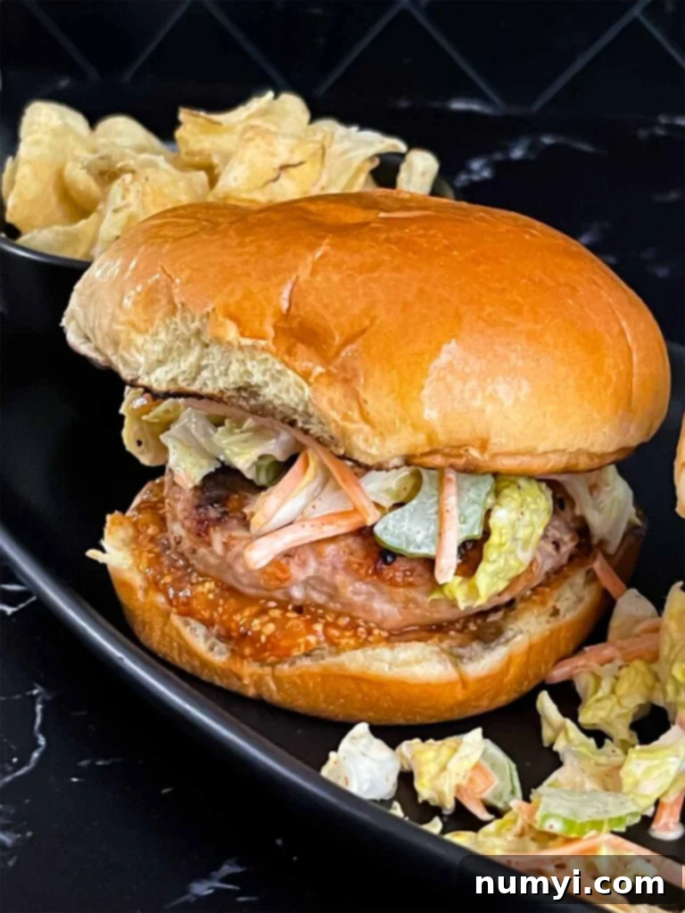 Zesty Carolina Grilled Chicken Burgers 20 A fully assembled grilled chicken burger with Carolina barbecue sauce and ancho slaw on a black plate.