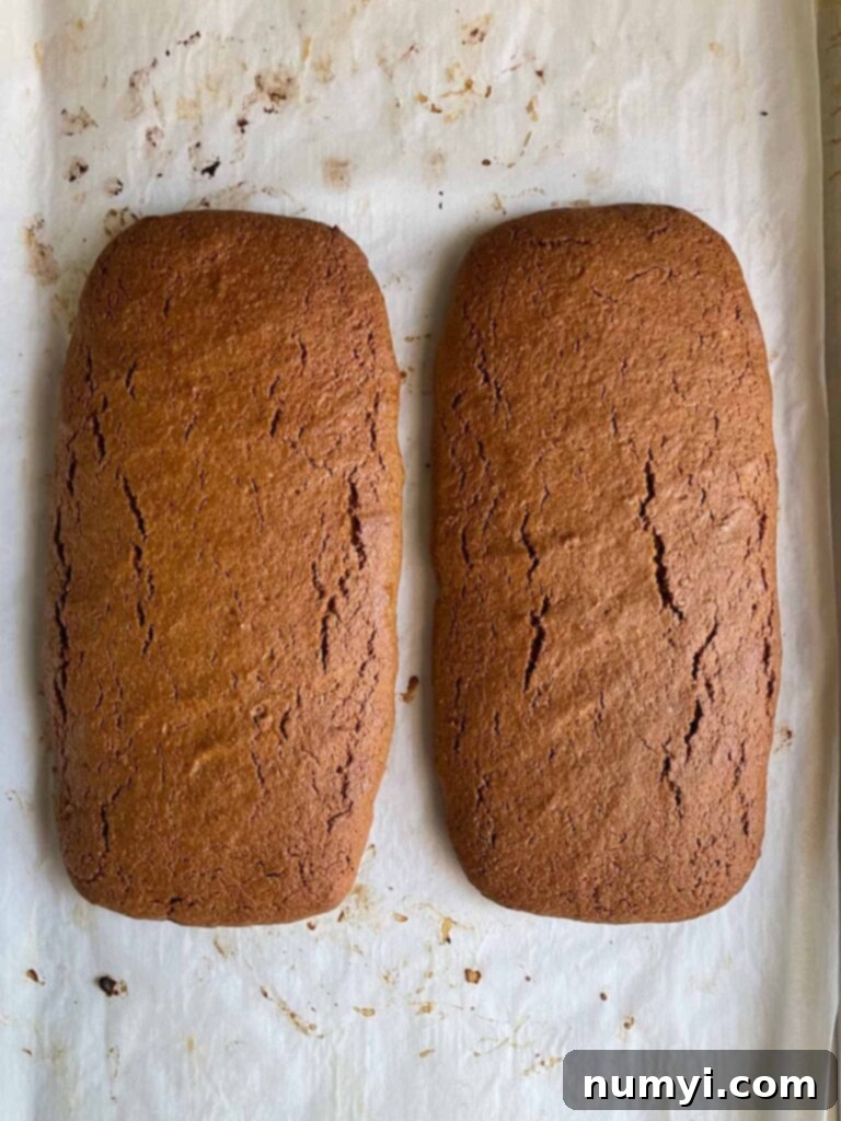 Baked gingerbread biscotti before slicing on a parchment paper lined baking sheet.
