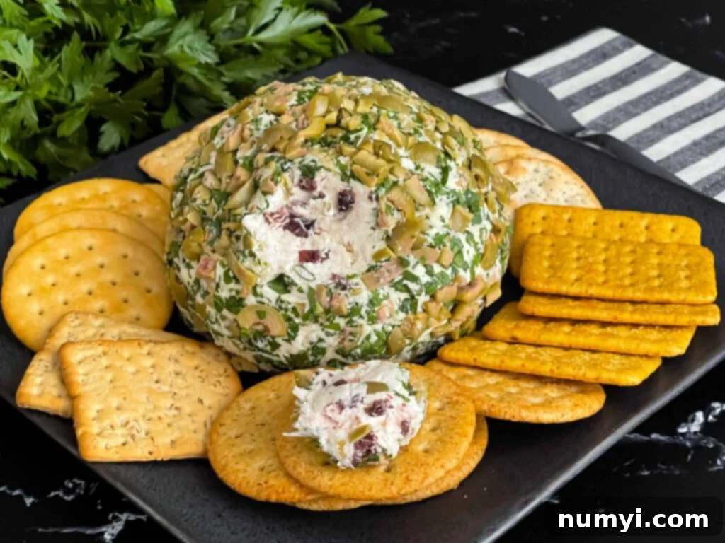 Olive cheese ball on a dark plate surrounded by different shaped crackers.