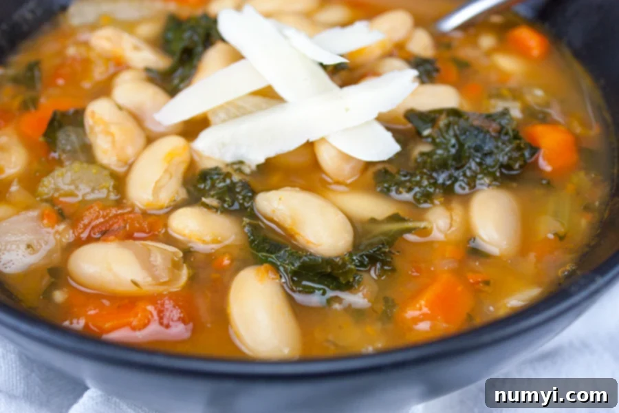 Tuscan White Bean Soup with a parmesan cheese garnish in a dark bowl.
