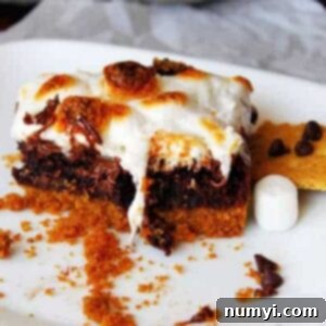 S'mores Brownies with a perfectly golden marshmallow topping, showcasing the fudgy brownie and graham cracker layers, ready to be served.
