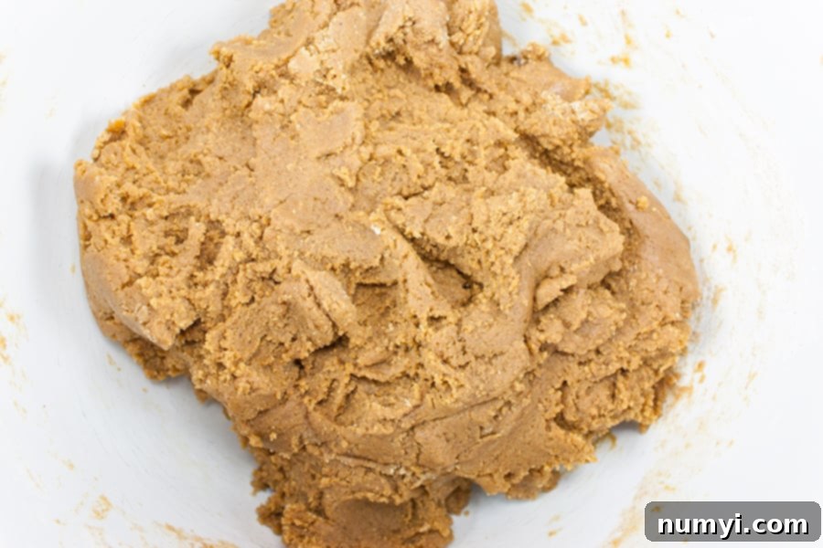 Finished molasses cookie dough, smooth and dark, chilling in a white mixing bowl.