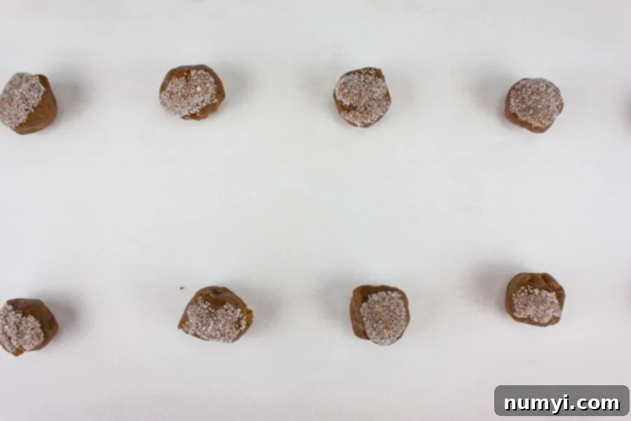 Molasses cookie dough balls, generously rolled in granulated sugar and spaced two inches apart on a parchment paper lined baking sheet, ready for baking.
