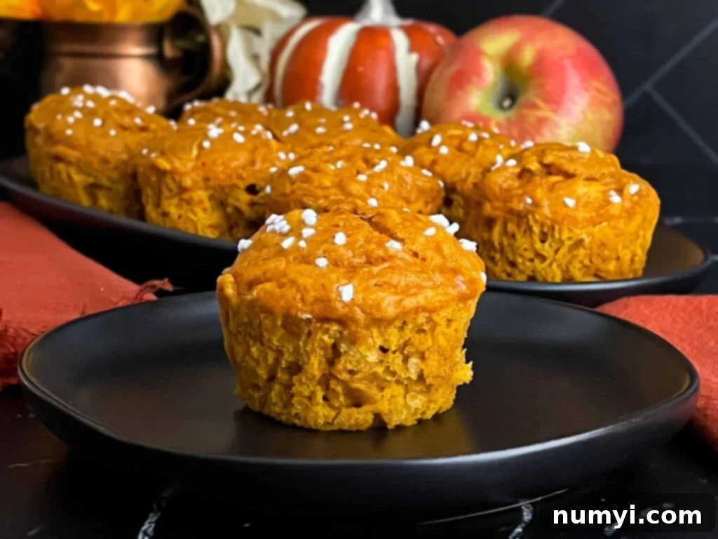 A freshly baked pumpkin apple muffin on a dark ceramic plate, invitingly moist and golden brown.