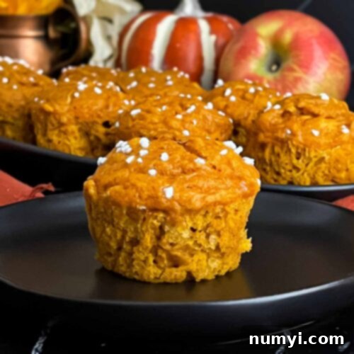 A perfectly baked, moist pumpkin apple muffin on a dark plate, ready to be enjoyed.