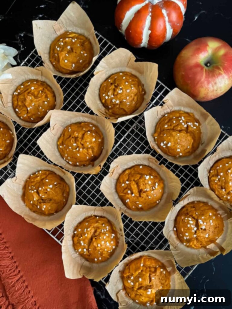 Freshly baked pumpkin apple muffins cooling on a wire rack, golden brown and inviting, with a rustic dark background.