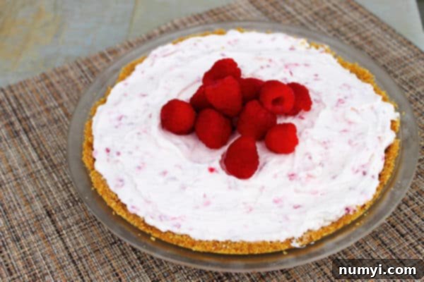 a full Frozen Raspberry Cheesecake Pie in a pie dish 