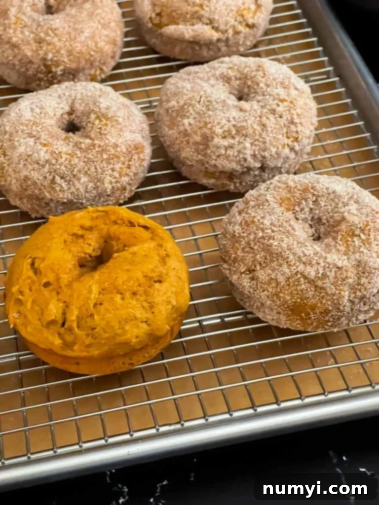 Baked pumpkin donuts rolled in cinnamon sugar on a wire rack over a parchment paper lined baking sheet.