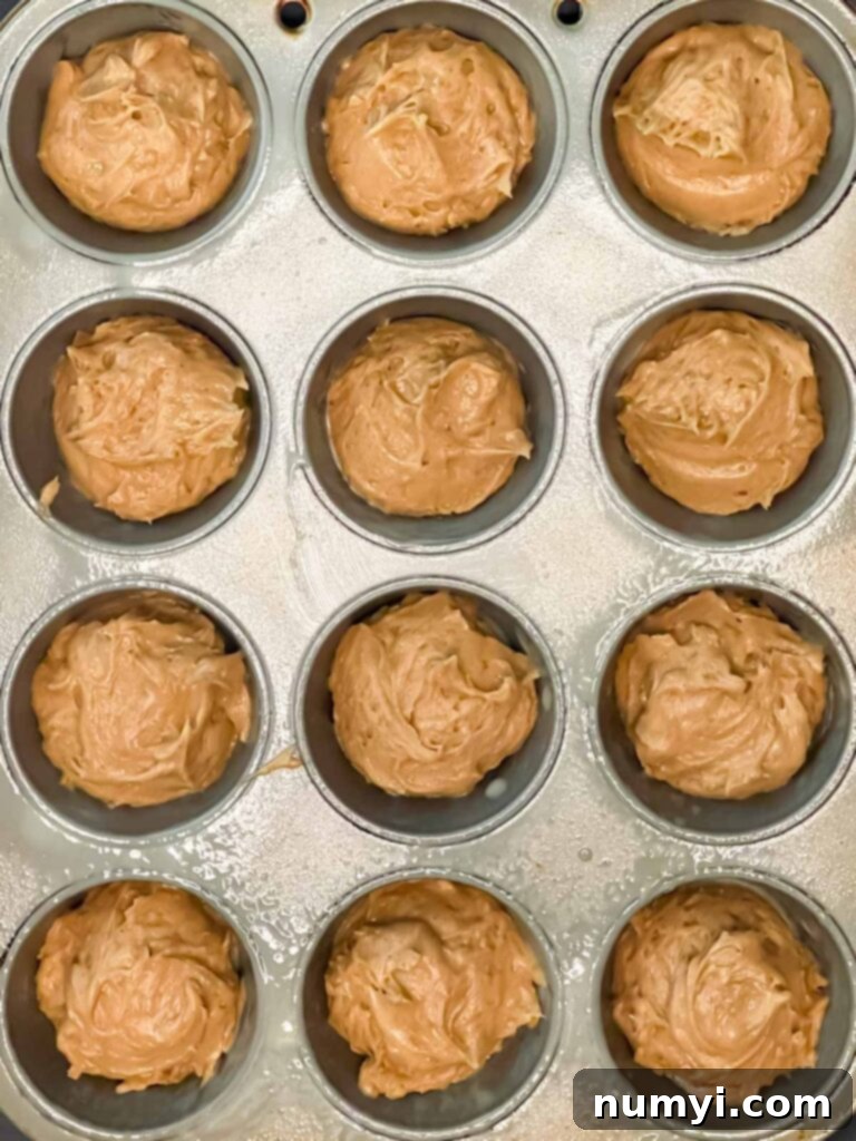 Apple cider muffins batter divided into a 12 cup muffin pan.