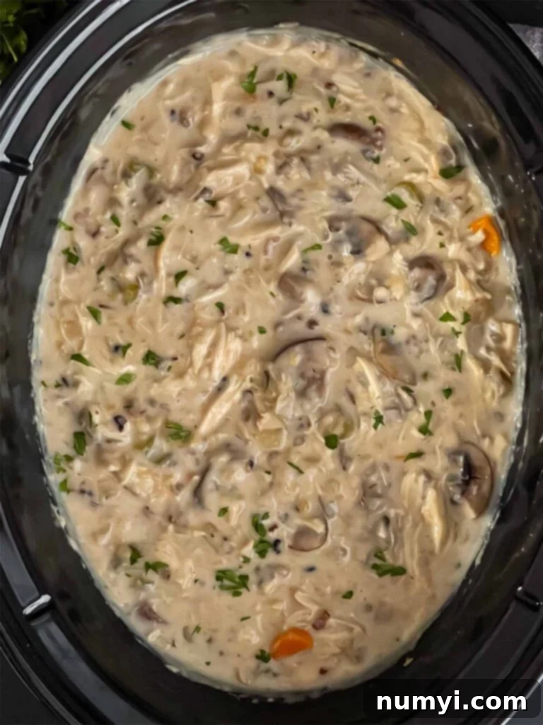 Chicken and wild rice soup in the crock of a slow cooker.