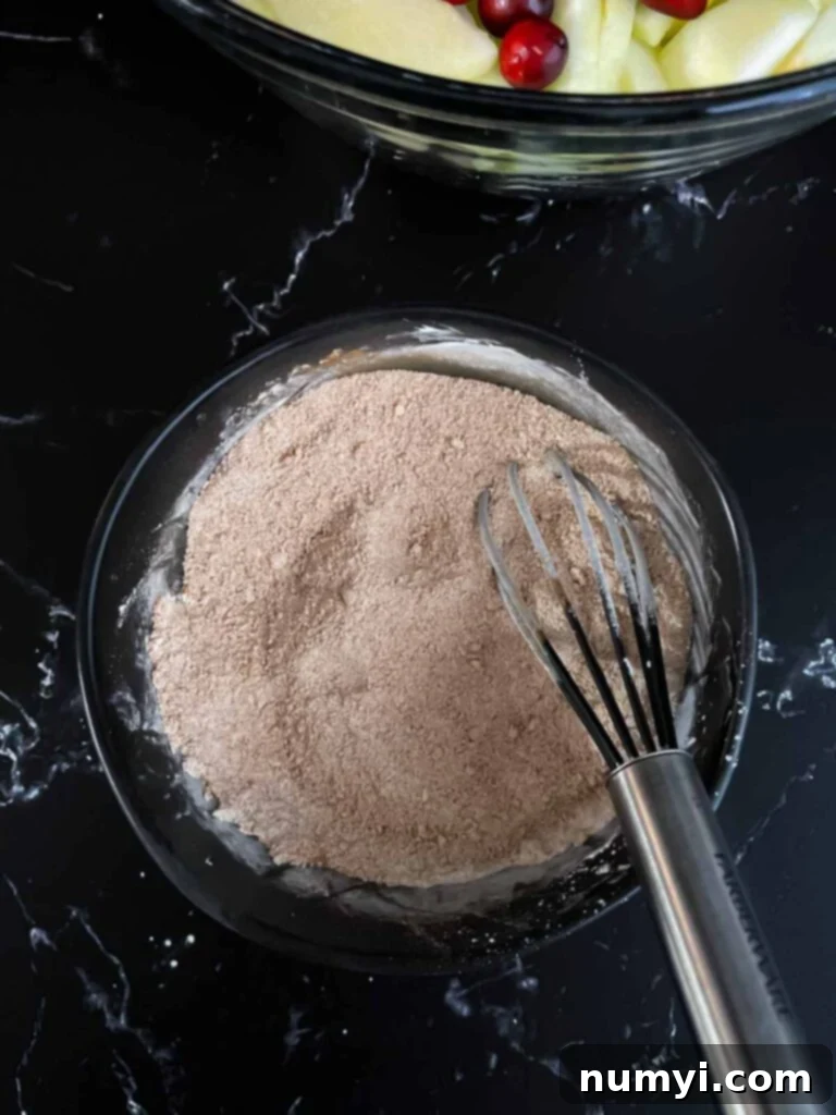 Dry ingredients for cranberry apple pie filling mixed in a dark bowl, showing a harmonious blend of spices and sugars.
