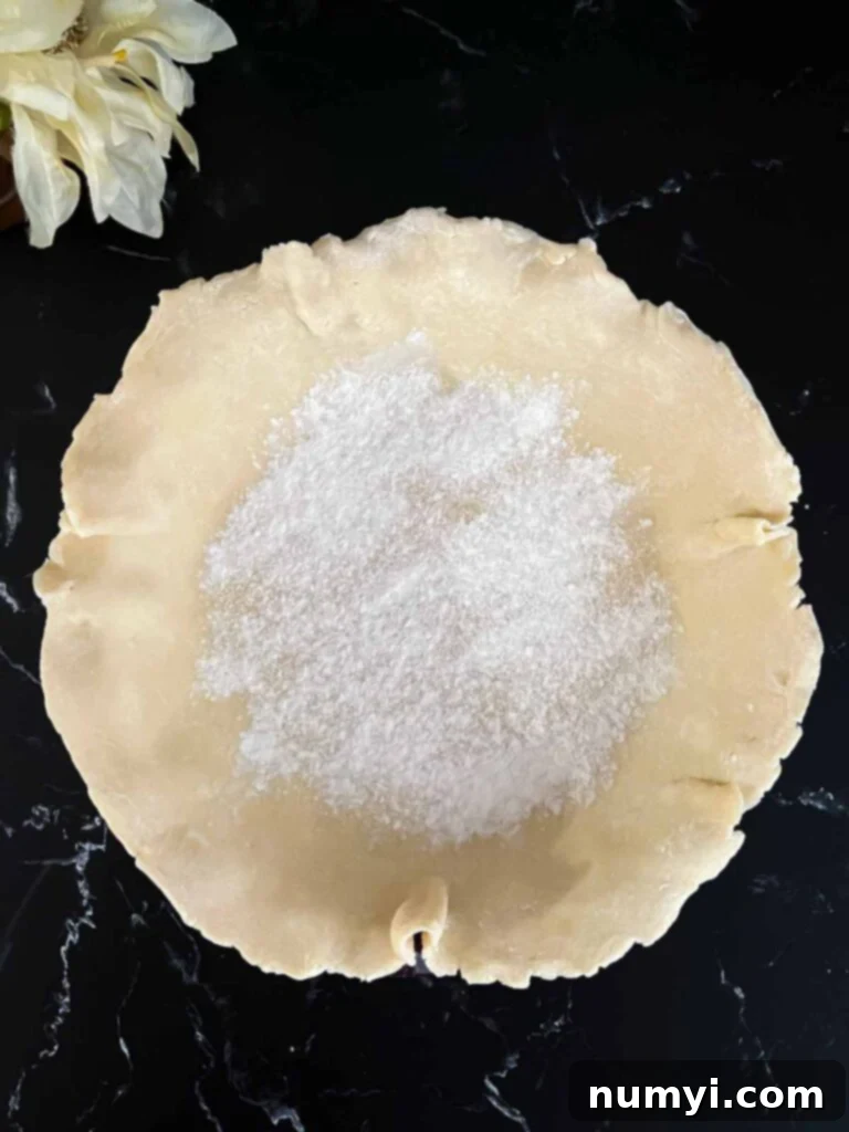 Close-up of the bottom pie crust sprinkled with 'crust dust' (sugar and flour mixture) to prevent sogginess.
