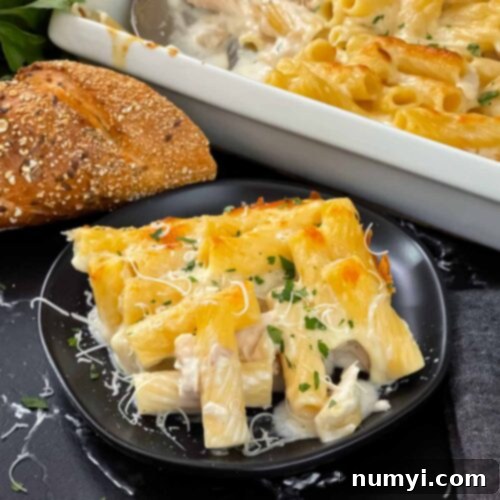Creamy Chicken Alfredo Casserole in a white baking dish, ready to serve.