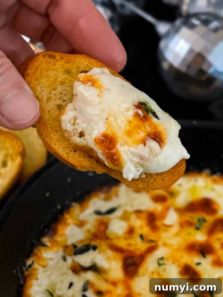 Creamy Baked Ricotta 11 A serving of warm Baked Ricotta dip scooped onto a toasted baguette slice, garnished with fresh thyme.