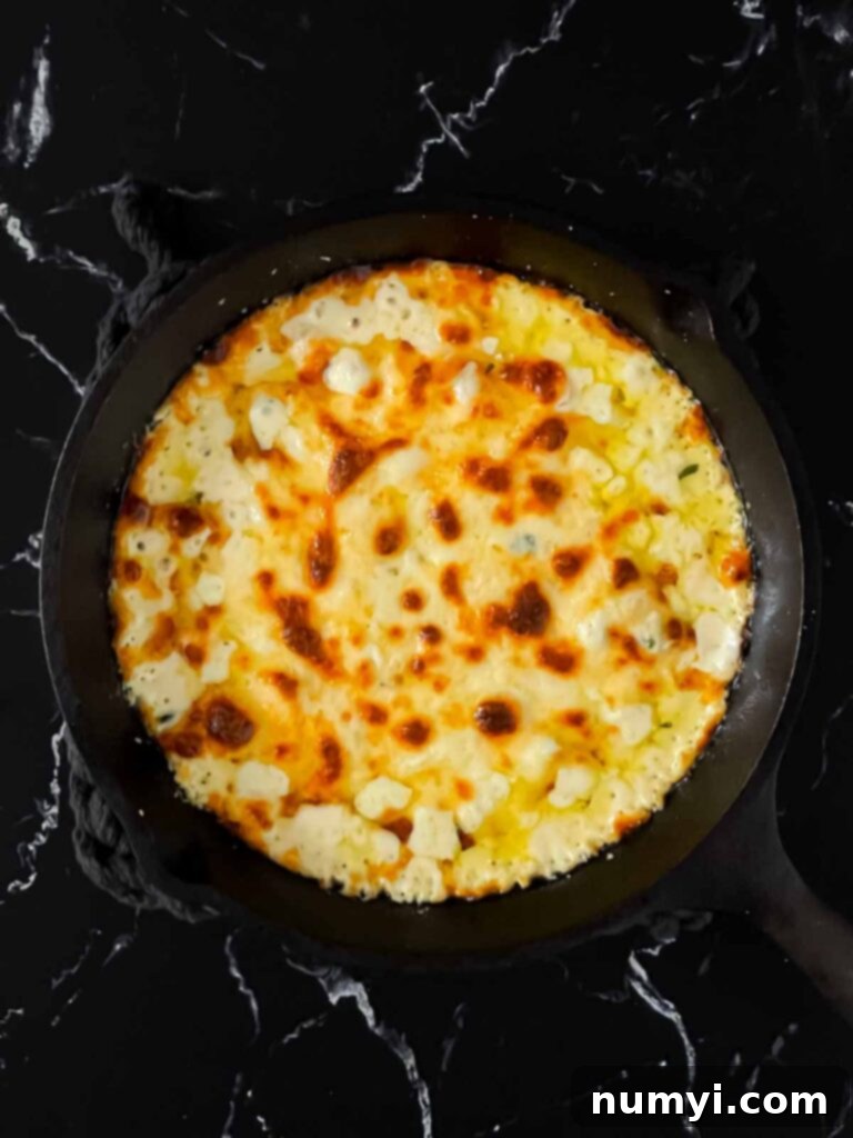 Creamy Baked Ricotta 10 Freshly baked ricotta dip, golden and bubbly, still in the cast iron skillet, ready to be garnished.