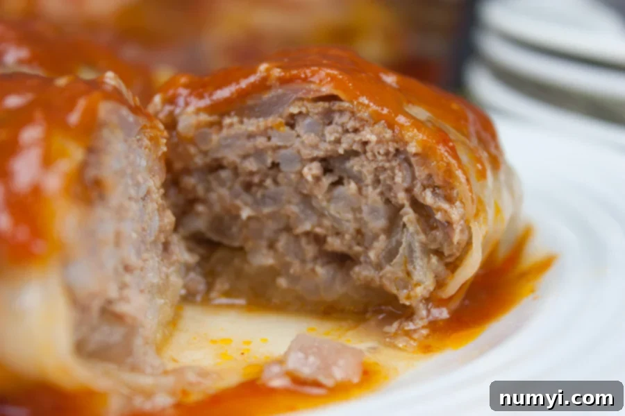 Easy Stuffed Cabbage Rolls served on a white plate, showcasing the rich tomato sauce and perfectly rolled cabbage.