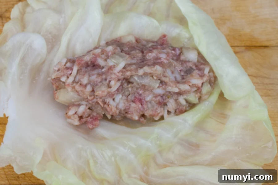 A close-up shot of the easy stuffed cabbage rolls beef mixture being placed inside a softened cabbage leaf, ready for rolling.