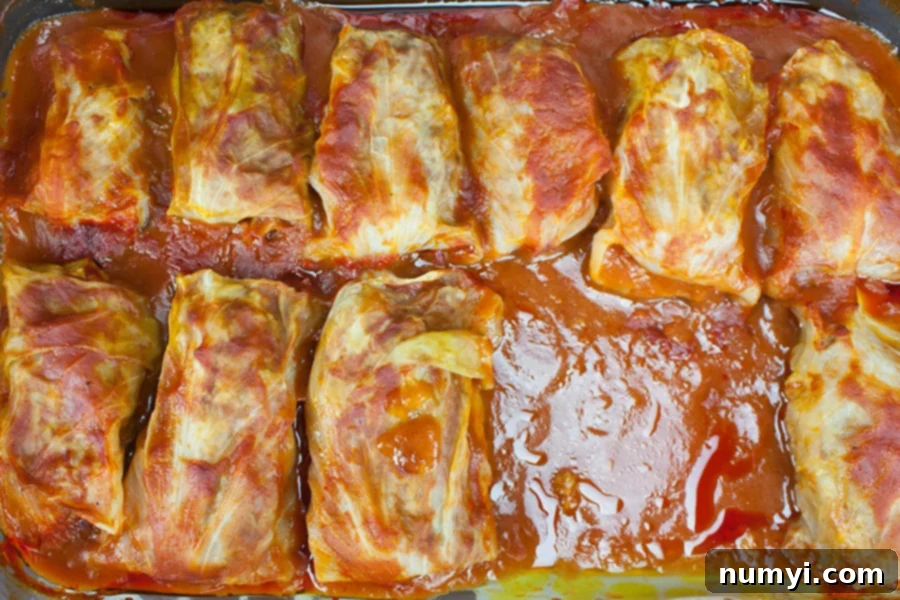 Deliciously baked Cabbage Rolls resting in a glass baking dish, ready to be served as a comforting meal.