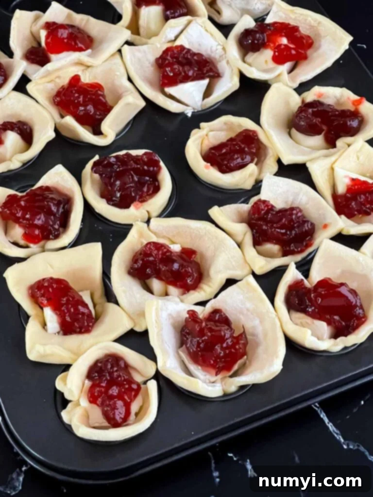 Unbaked cranberry brie bites in a mini muffin tin.