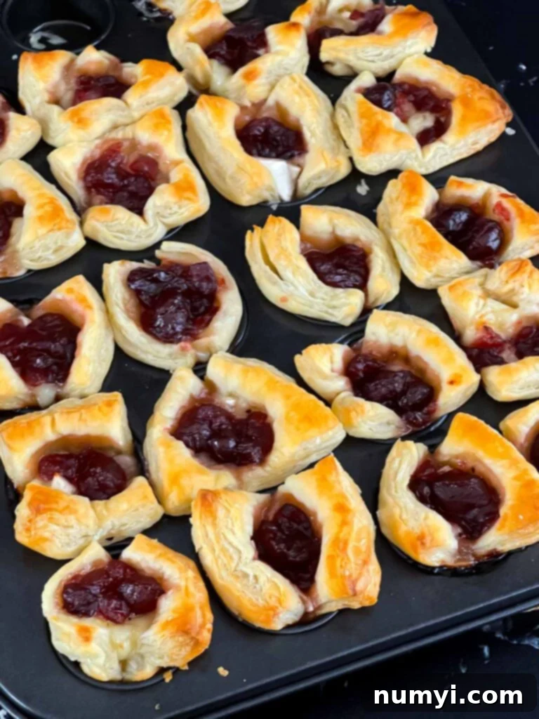 Baked Cranberry brie bites.
