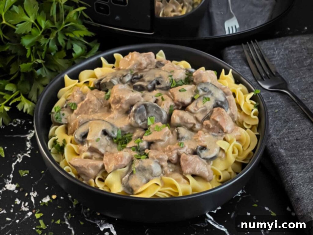 Slow cooker beef stroganoff in a dark bowl, garnished with chopped parsley.