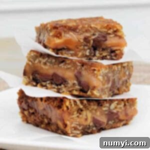 Decadent Carmelita Chocolate Caramel 3 Chocolate Caramel Oatmeal Bars