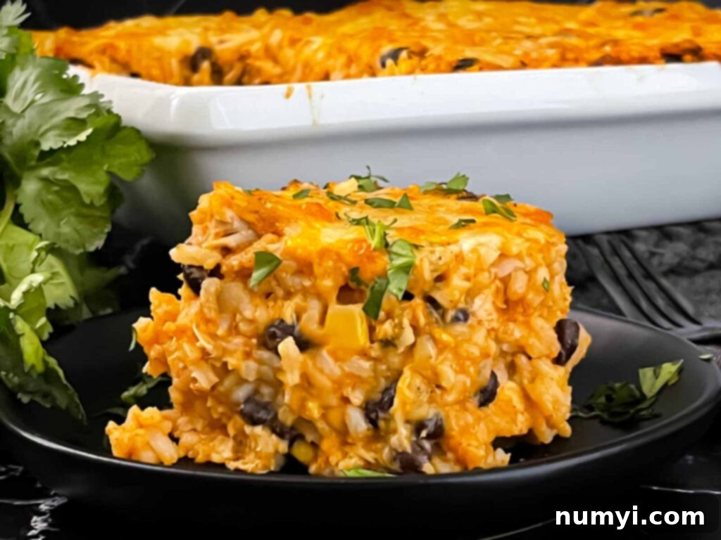 Chicken enchilada rice casserole on a black plate, garnished with fresh cilantro.