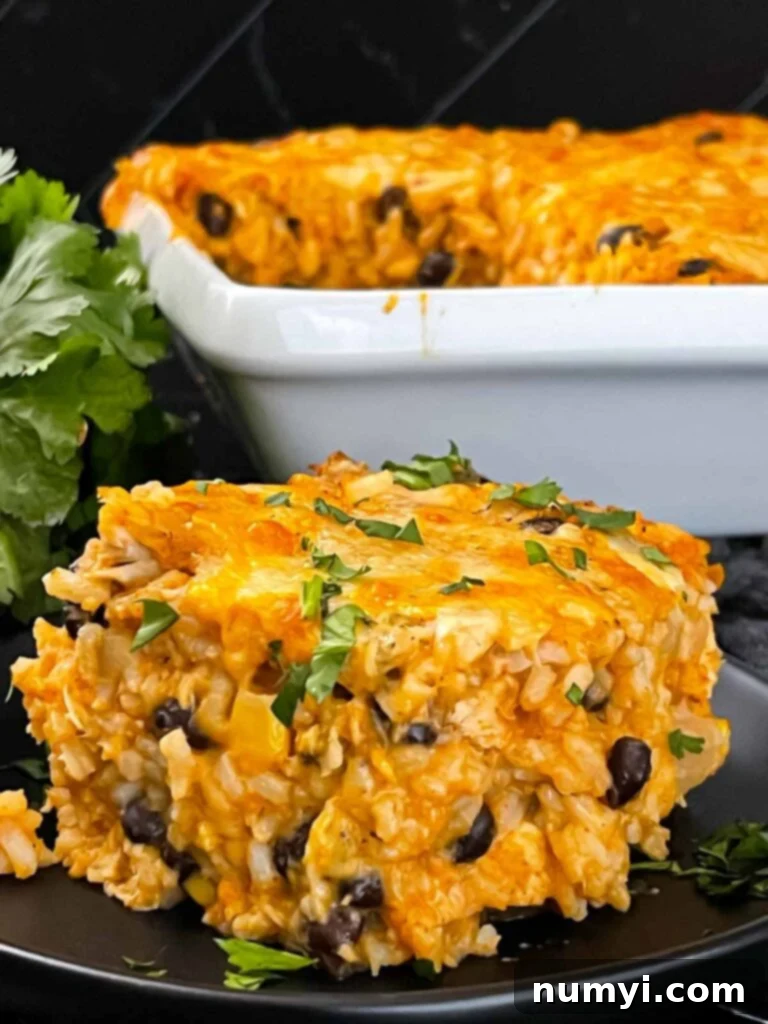 A generous serving of chicken enchilada rice casserole on a black plate, garnished.