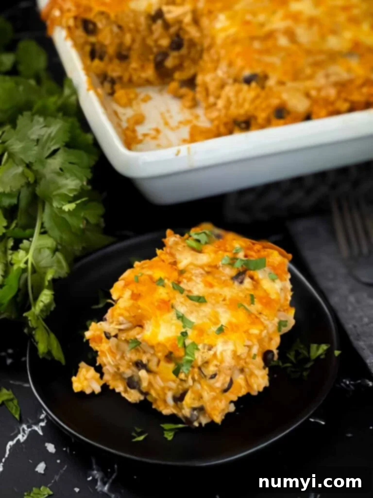 Close-up of chicken enchilada rice casserole on a black plate, ready to eat.