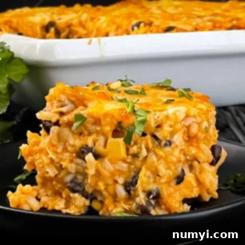 A delectable Chicken Enchilada Rice Casserole, served on a black plate.