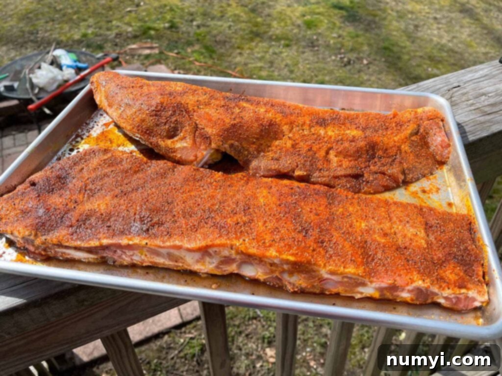 Ribs with rub applied, positioned on a smoking rack, poised to enter the smoker.