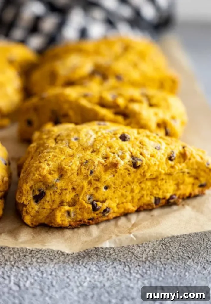 Close-up picture of a freshly baked pumpkin scone on a piece of parchment paper, highlighting its golden crust and delicious texture.