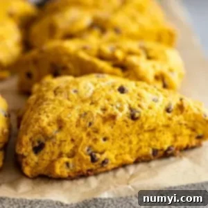 Picture of pumpkin scone on a piece of parchment paper.