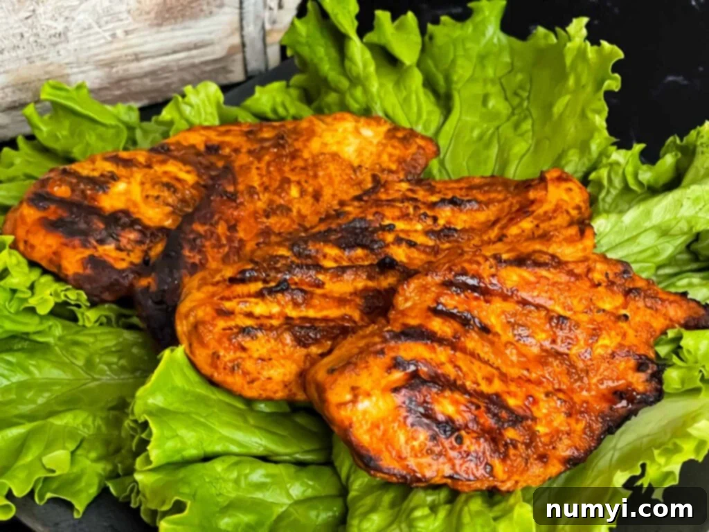 Southwest grilled chicken on a bed of lettuce, ready to serve.