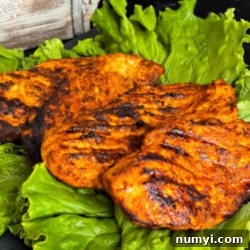 Southwest grilled chicken on a bed of lettuce, ready to serve.