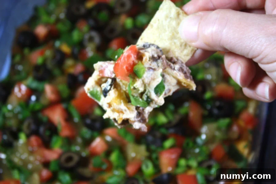 A vibrant black bean taco dip, layered with cheese and fresh toppings, ready to be enjoyed hot or cold.